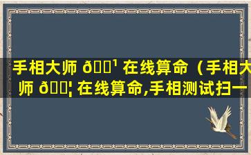 手相大师 🌹 在线算命（手相大师 🐦 在线算命,手相测试扫一扫软件）